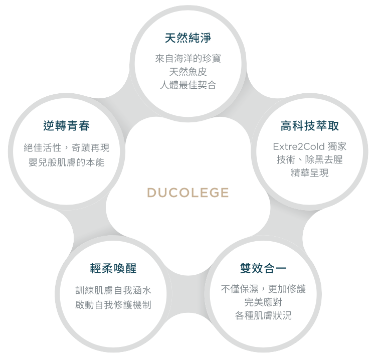 Ducolege膠原蛋白可促使第III型膠原蛋白表現，達到保濕修護，恢復肌膚彈性的效果